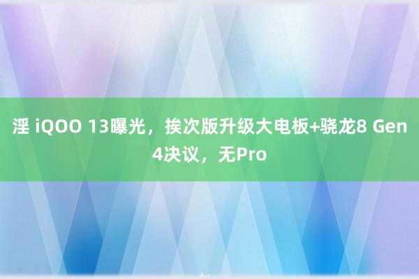 淫 iQOO 13曝光，挨次版升级大电板+骁龙8 Gen4决议，无Pro