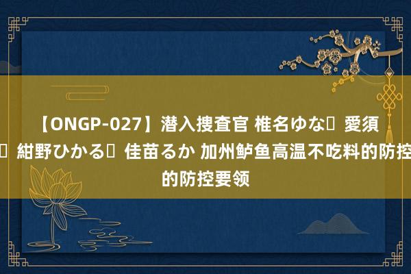 【ONGP-027】潜入捜査官 椎名ゆな・愛須心亜・紺野ひかる・佳苗るか 加州鲈鱼高温不吃料的防控要领