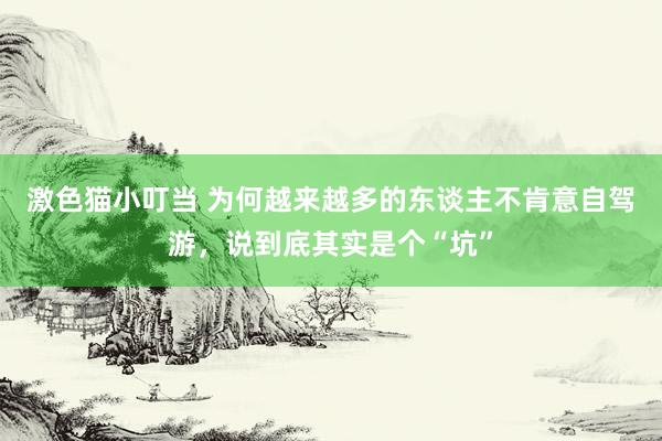 激色猫小叮当 为何越来越多的东谈主不肯意自驾游，说到底其实是个“坑”