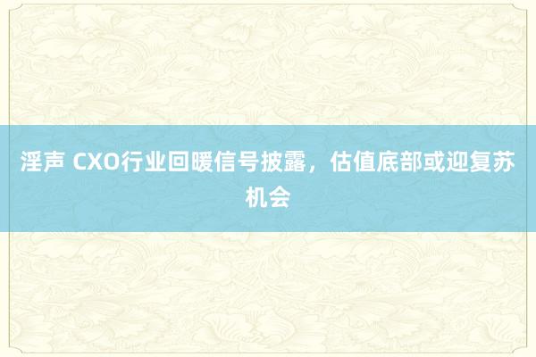 淫声 CXO行业回暖信号披露，估值底部或迎复苏机会