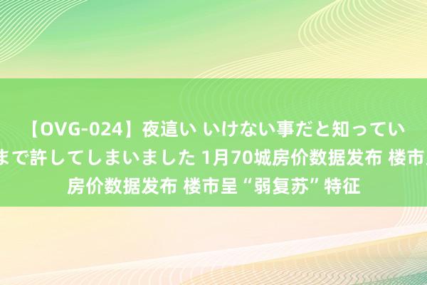 【OVG-024】夜這い いけない事だと知っていたけど生中出しまで許してしまいました 1月70城房价数据发布 楼市呈“弱复苏”特征