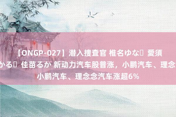 【ONGP-027】潜入捜査官 椎名ゆな・愛須心亜・紺野ひかる・佳苗るか 新动力汽车股普涨，小鹏汽车、理念念汽车涨超6%