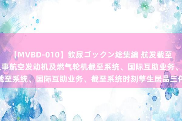 【MVBD-010】飲尿ゴックン総集編 航发截至(000738.SZ)：主要从事航空发动机及燃气轮机截至系统、国际互助业务、截至系统时刻孳生居品三伟业务