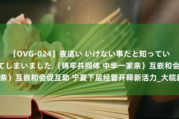 【OVG-024】夜這い いけない事だと知っていたけど生中出しまで許してしまいました （铸牢共同体 中华一家亲）互嵌和会促互助 宁夏下层经管开释新活力_大皖新闻 | 安徽网