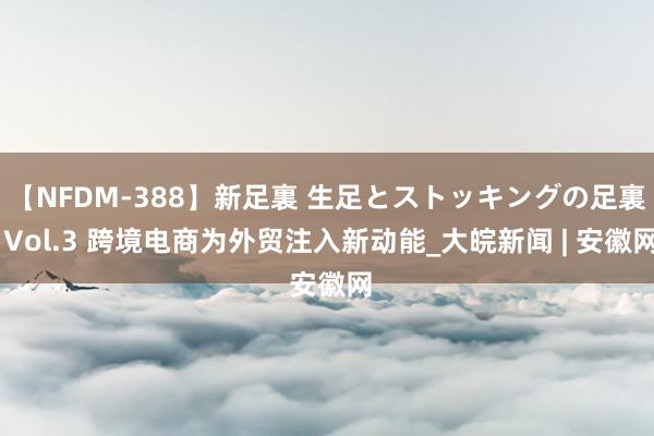 【NFDM-388】新足裏 生足とストッキングの足裏 Vol.3 跨境电商为外贸注入新动能_大皖新闻 | 安徽网