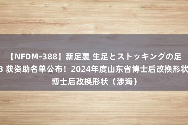 【NFDM-388】新足裏 生足とストッキングの足裏 Vol.3 获资助名单公布！2024年度山东省博士后改换形状（涉海）