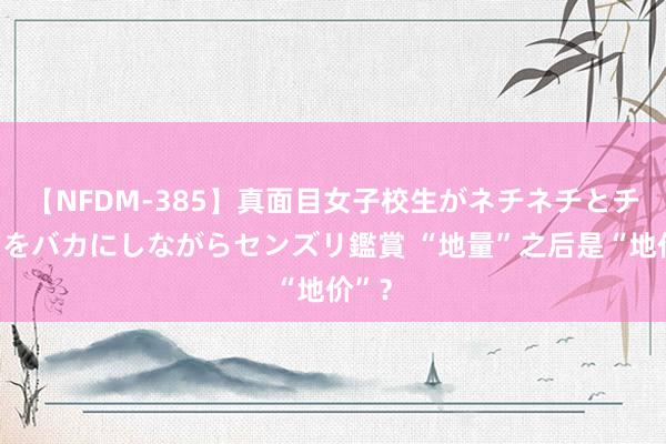 【NFDM-385】真面目女子校生がネチネチとチ●ポをバカにしながらセンズリ鑑賞 “地量”之后是“地价”？