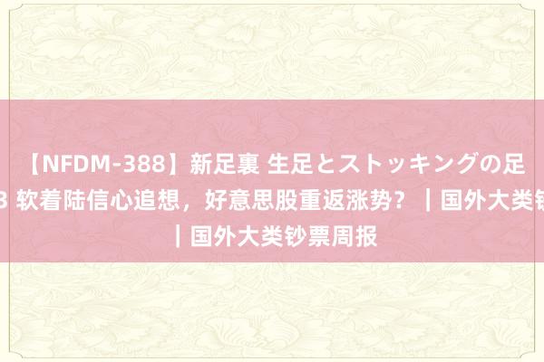 【NFDM-388】新足裏 生足とストッキングの足裏 Vol.3 软着陆信心追想，好意思股重返涨势？｜国外大类钞票周报