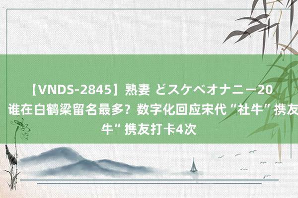 【VNDS-2845】熟妻 どスケベオナニー20連発！！ 谁在白鹤梁留名最多？数字化回应宋代“社牛”携友打卡4次