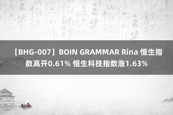 【BHG-007】BOIN GRAMMAR Rina 恒生指数高开0.61% 恒生科技指数涨1.63%