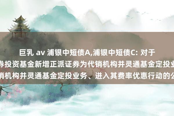 巨乳 av 浦银中短债A，浦银中短债C: 对于浦银安盛中短债债券型证券投资基金新增正派证券为代销机构并灵通基金定投业务、进入其费率优惠行动的公告