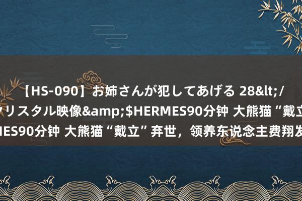 【HS-090】お姉さんが犯してあげる 28</a>2004-10-01クリスタル映像&$HERMES90分钟 大熊猫“戴立”弃世，领养东说念主费翔发文漫骂