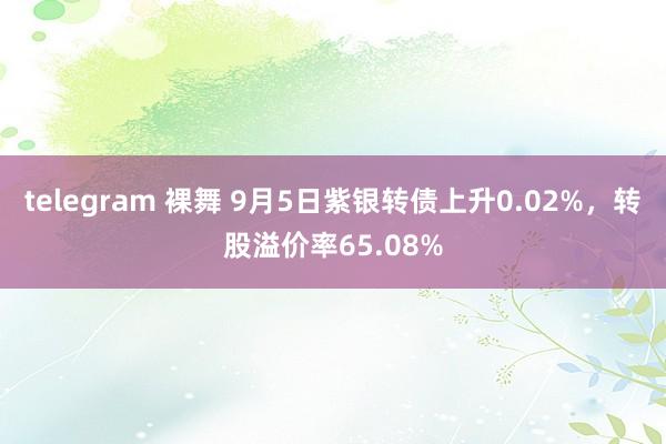 telegram 裸舞 9月5日紫银转债上升0.02%，转股溢价率65.08%