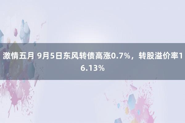 激情五月 9月5日东风转债高涨0.7%，转股溢价率16.13%